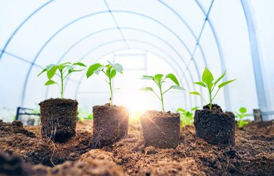 Server Room with Equipment